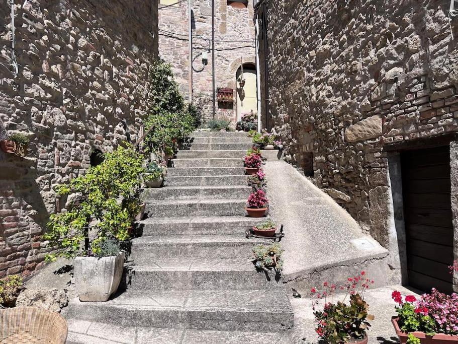 La Dei Sibillini * Cerretana